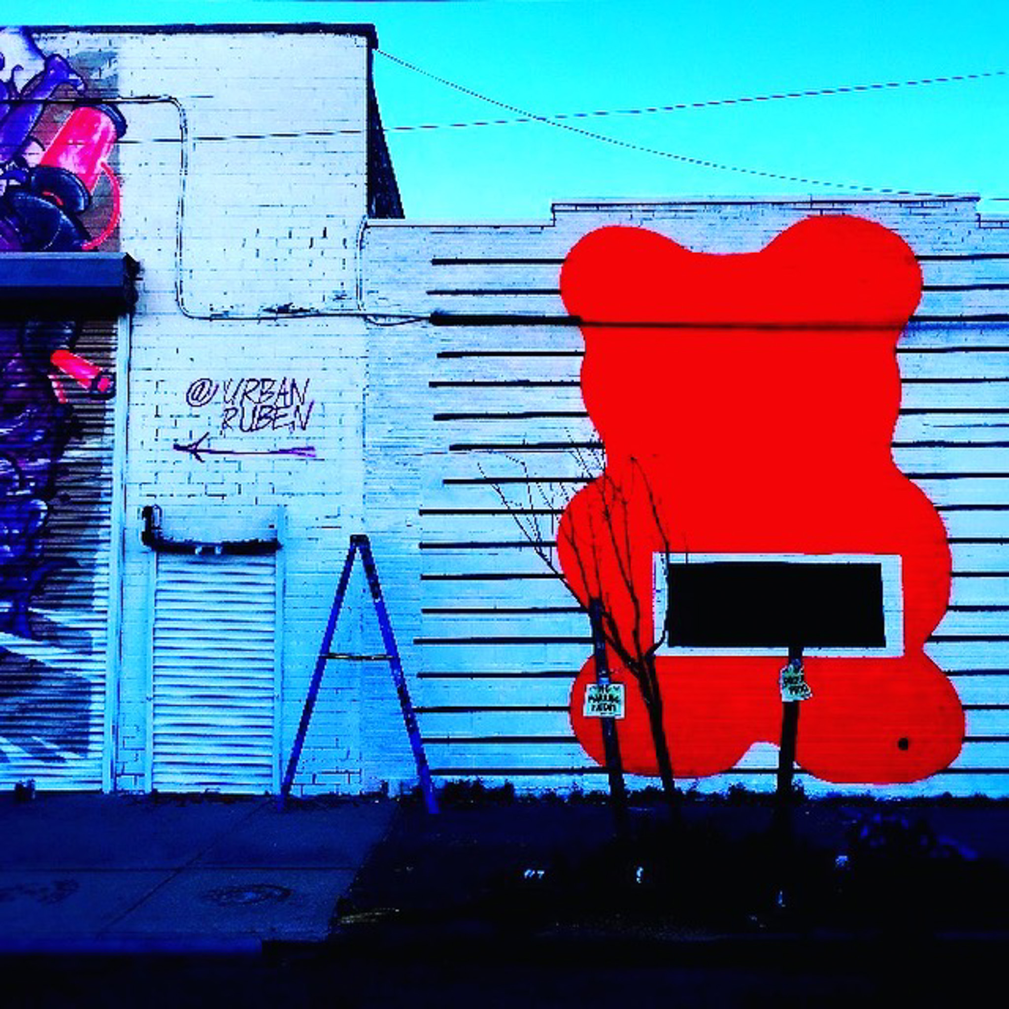 Bear in Bushwick